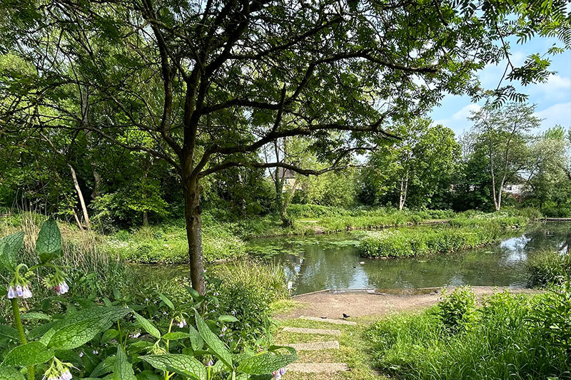 Brickfields Pond 2