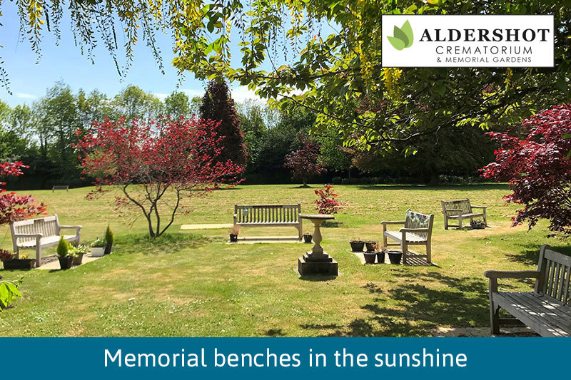 Benches In The Sunshine
