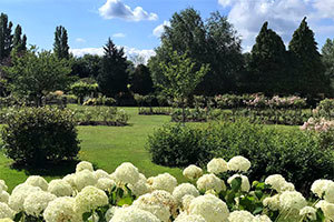 Beautiful memorial gardens