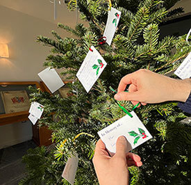Hand putting a memorial card on the Christmas tree