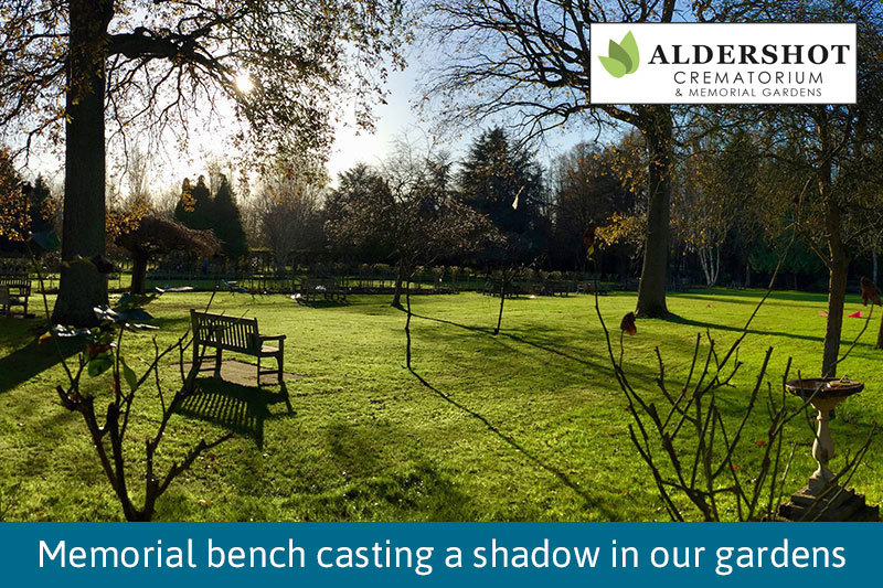 Single Bench With Shadow In Our Gardens