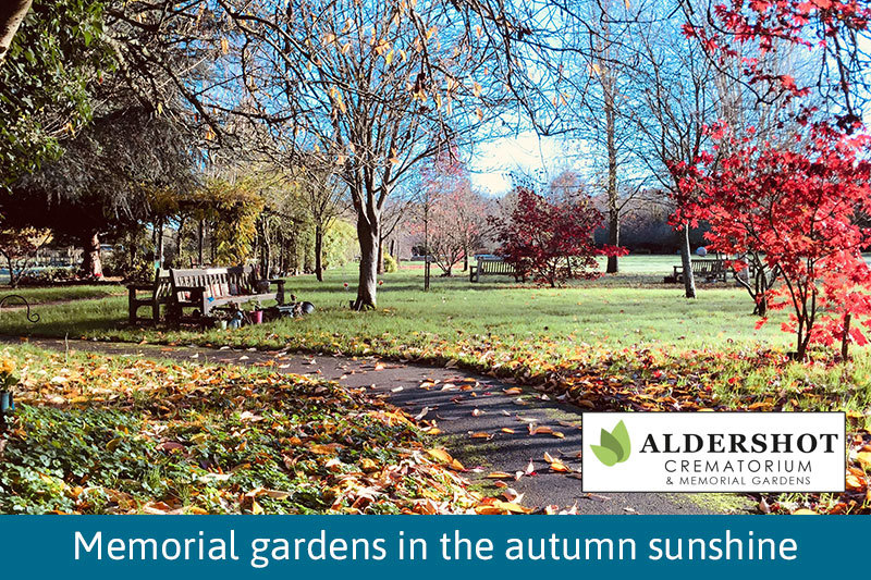 Crematorium Gardens In The Autumn Sunshine