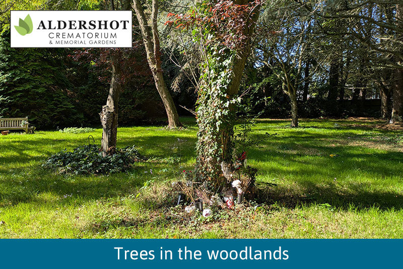 Woodland With Flower Tributes